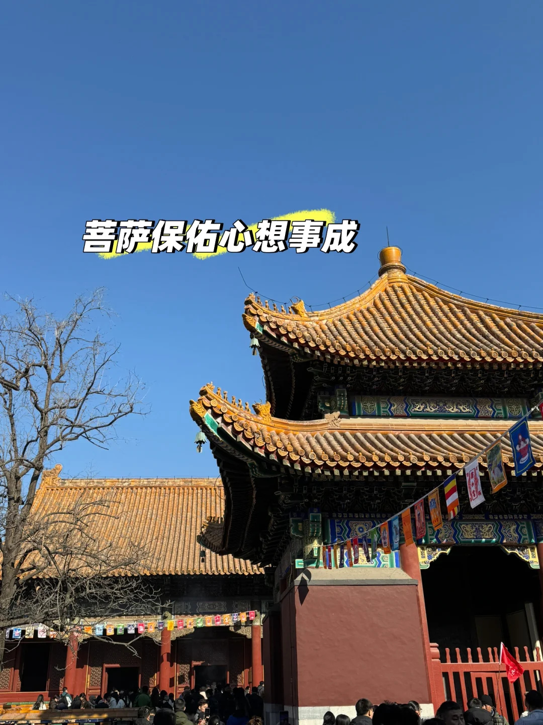 大厂春招倒计时|收下这份求职指南✔️