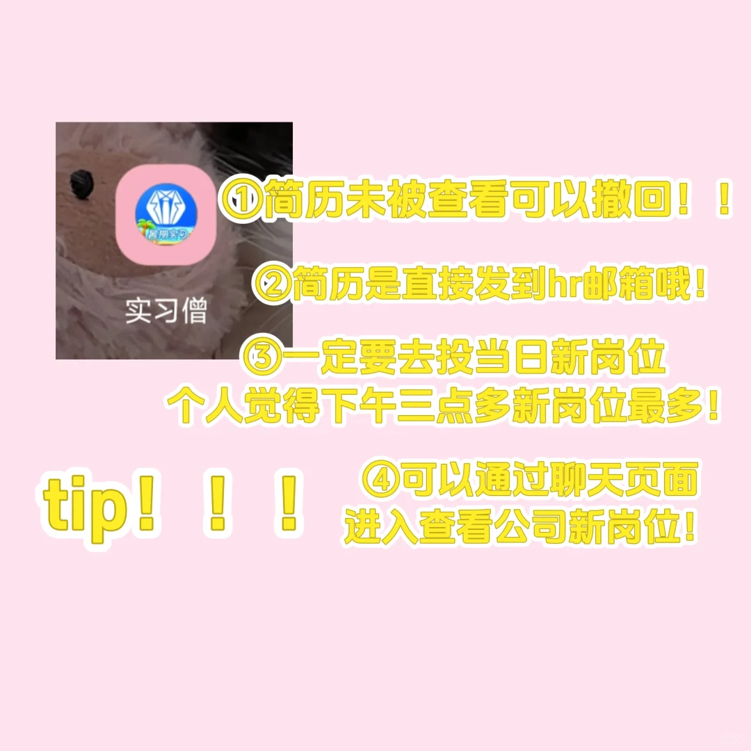 找实习工作纯干货经验来啦??