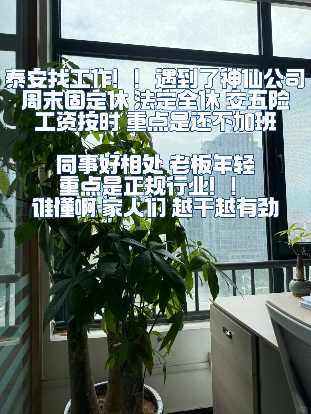 泰安神仙工作?