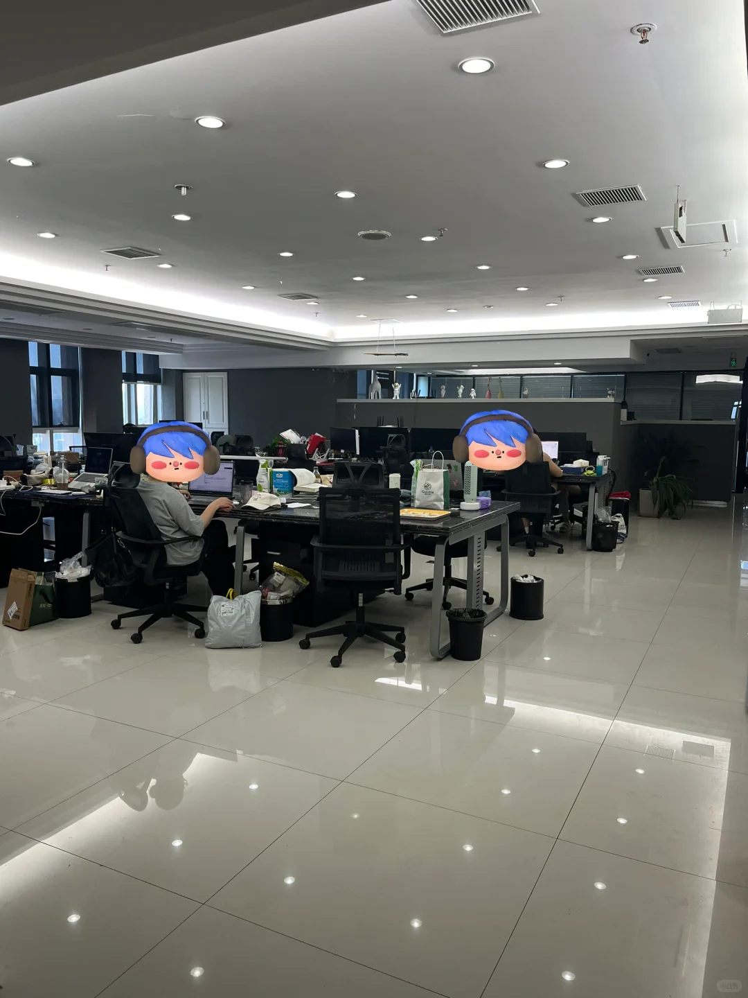 重庆双休❗️宠物公司招小红书运营
