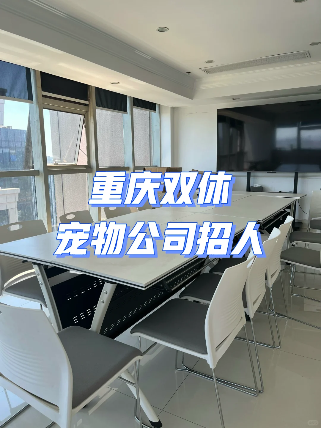 重庆双休❗️宠物公司招小红书运营