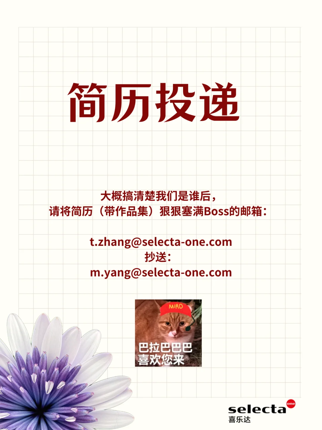 外企招聘丨来呐来呐来呐,花花们需要你