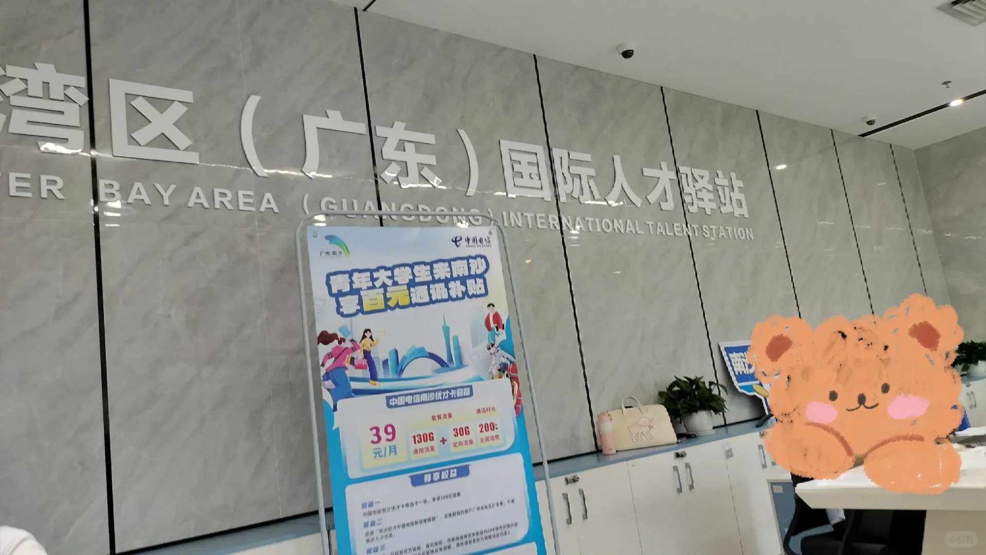 南沙区对毕业生真的好!
