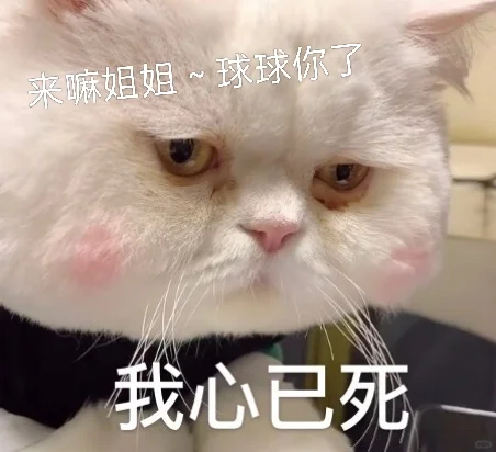 来看看00后当人事的一天