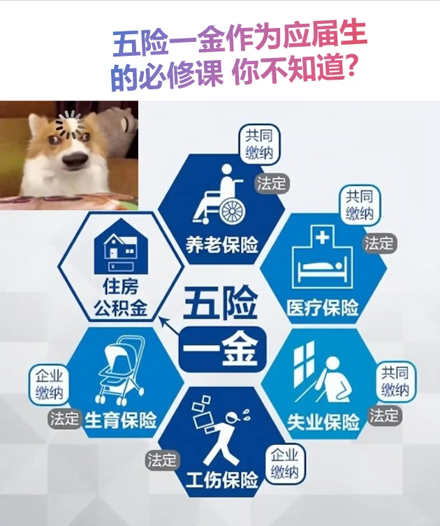 每日分享之五险一金 谁还不知道的 叉出去