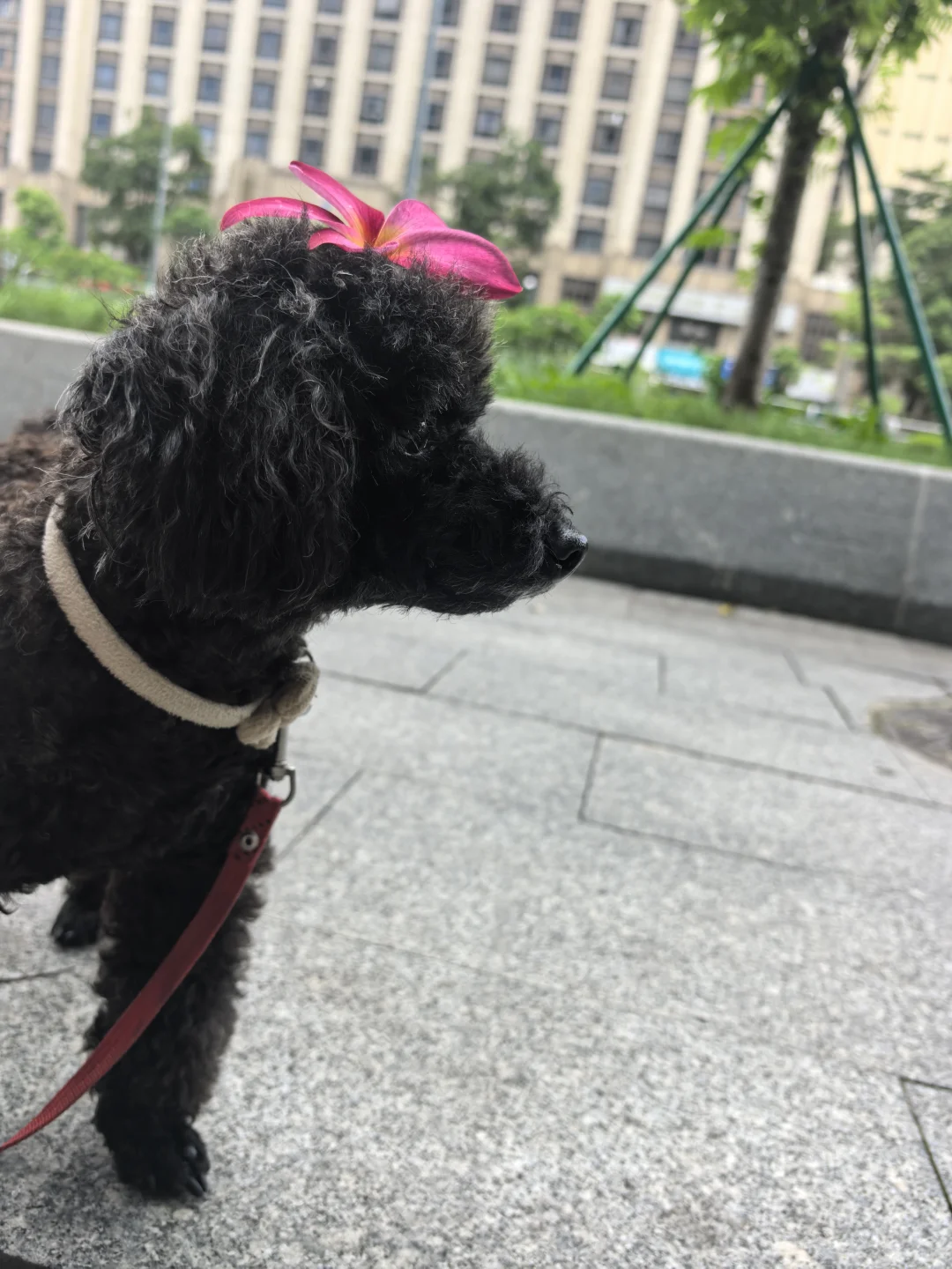 番禺南村万博外贸公司招聘英语客服