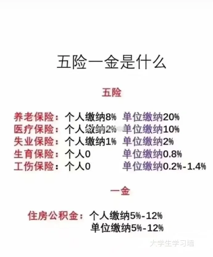 第一次遇到把“五险一金”讲得如此通俗易懂的