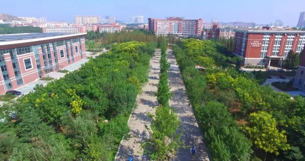 这里真的好好学诶~青岛职业技术学院