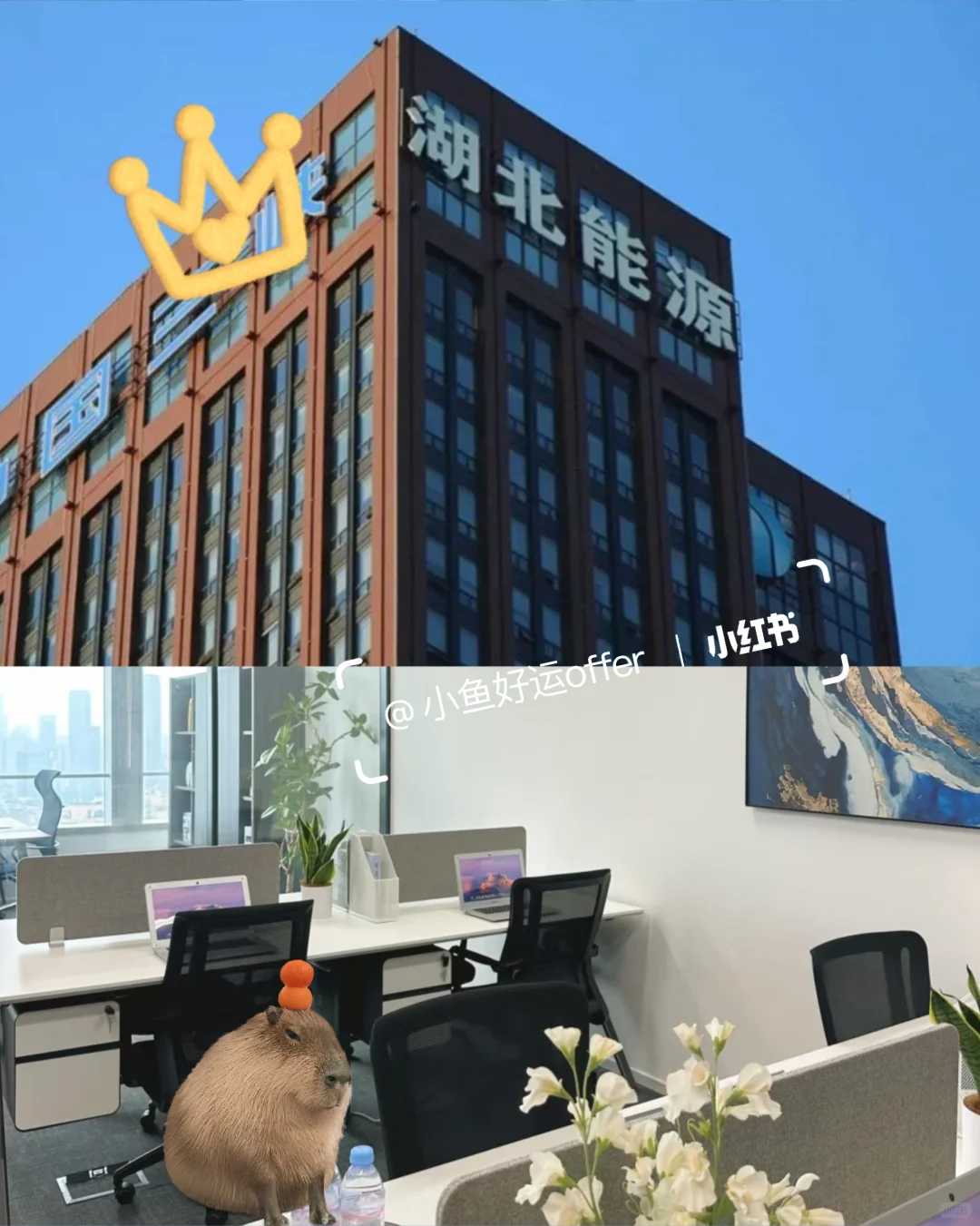 湖北能源招聘文职,有人想来吗?双休5k