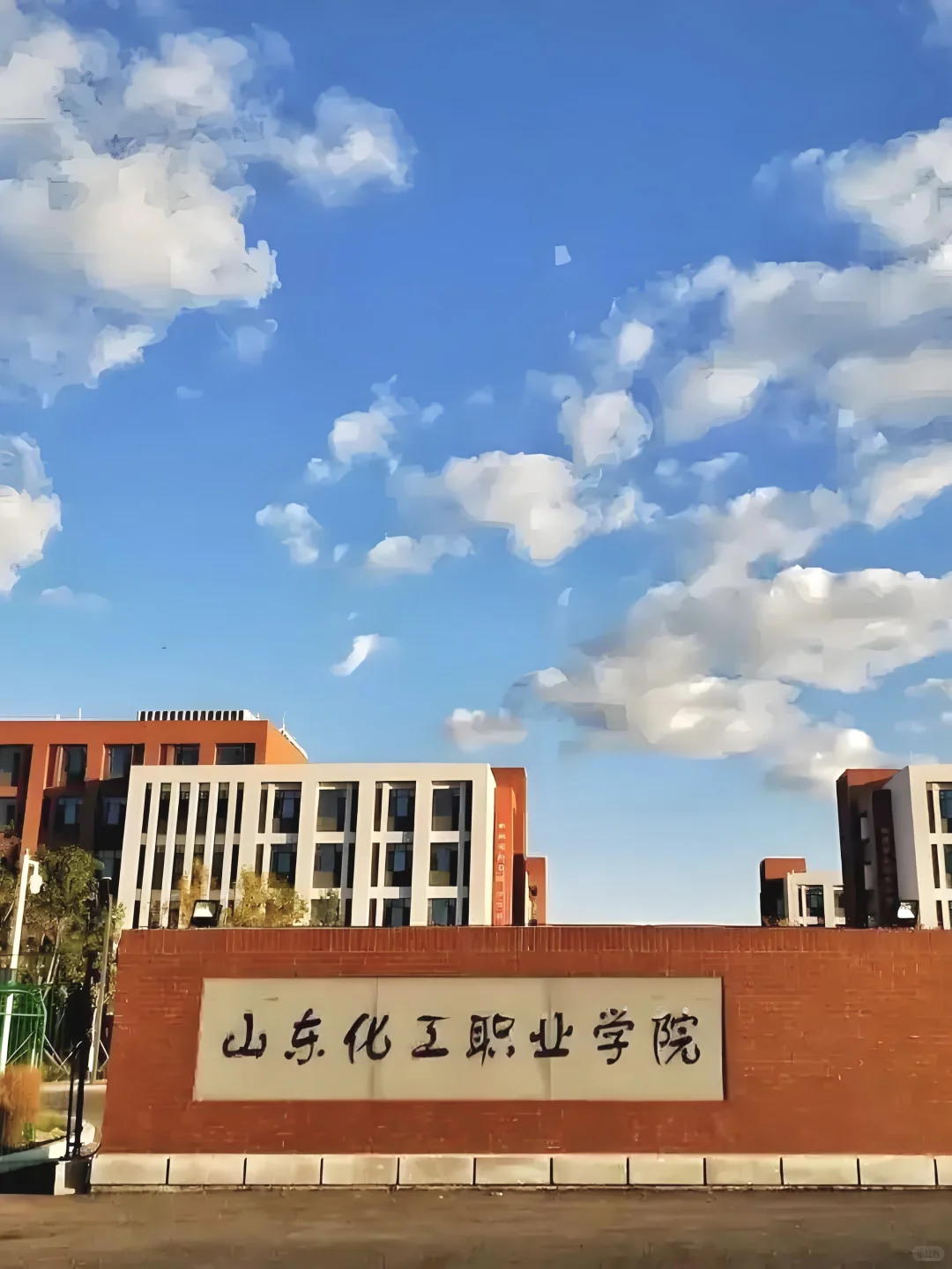 山东化工职业学院!招100人!仅面试!本科起