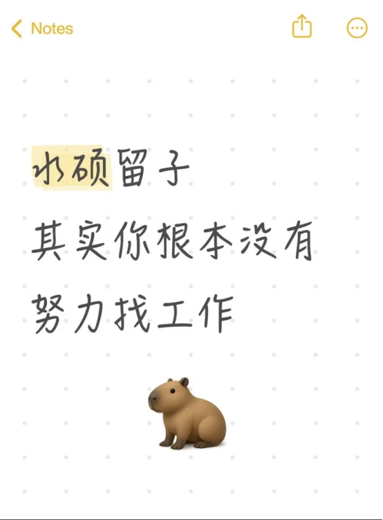 水硕留子,其实你根本没有努力找工作