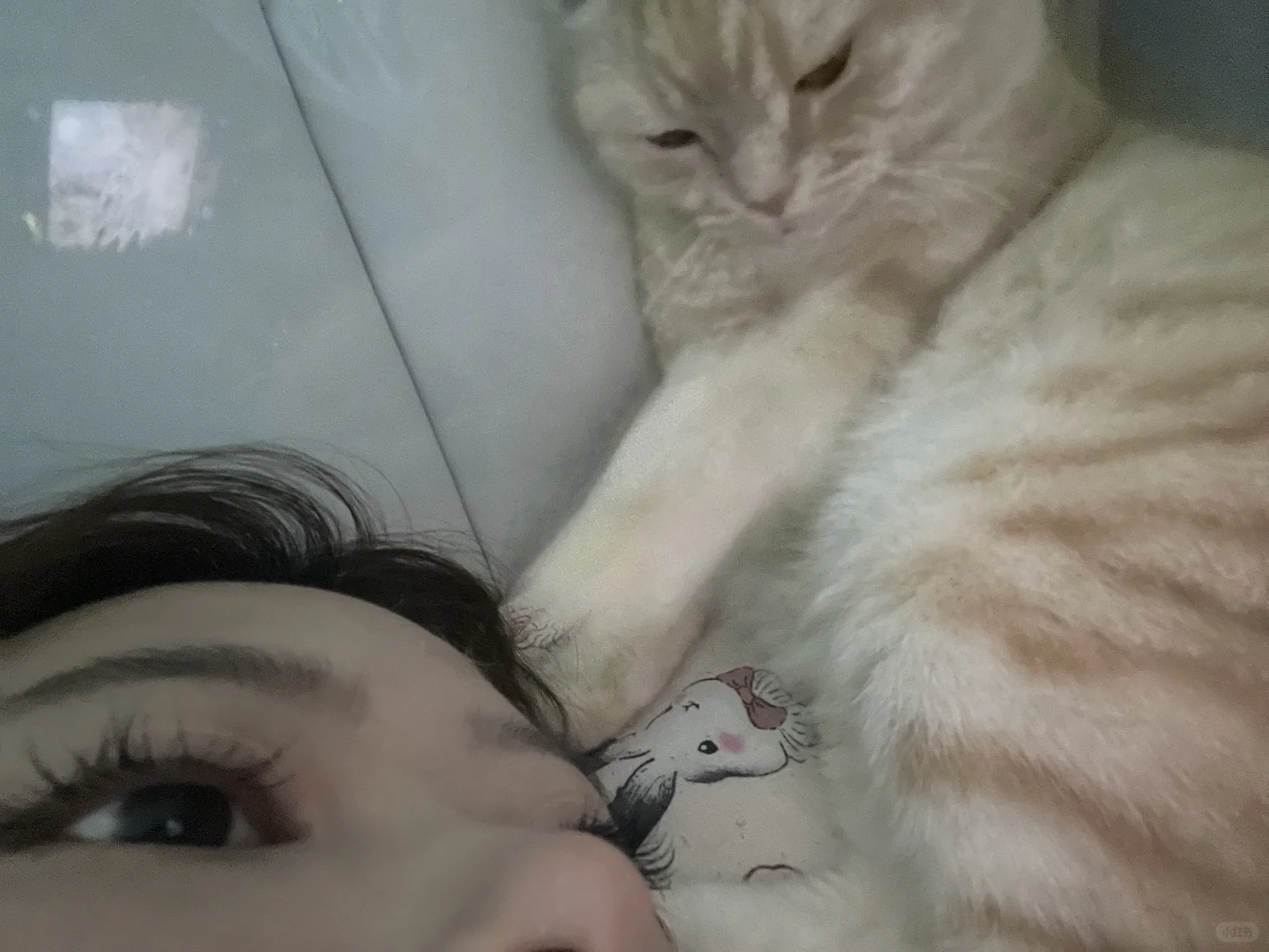 汽车小白主播求助!!