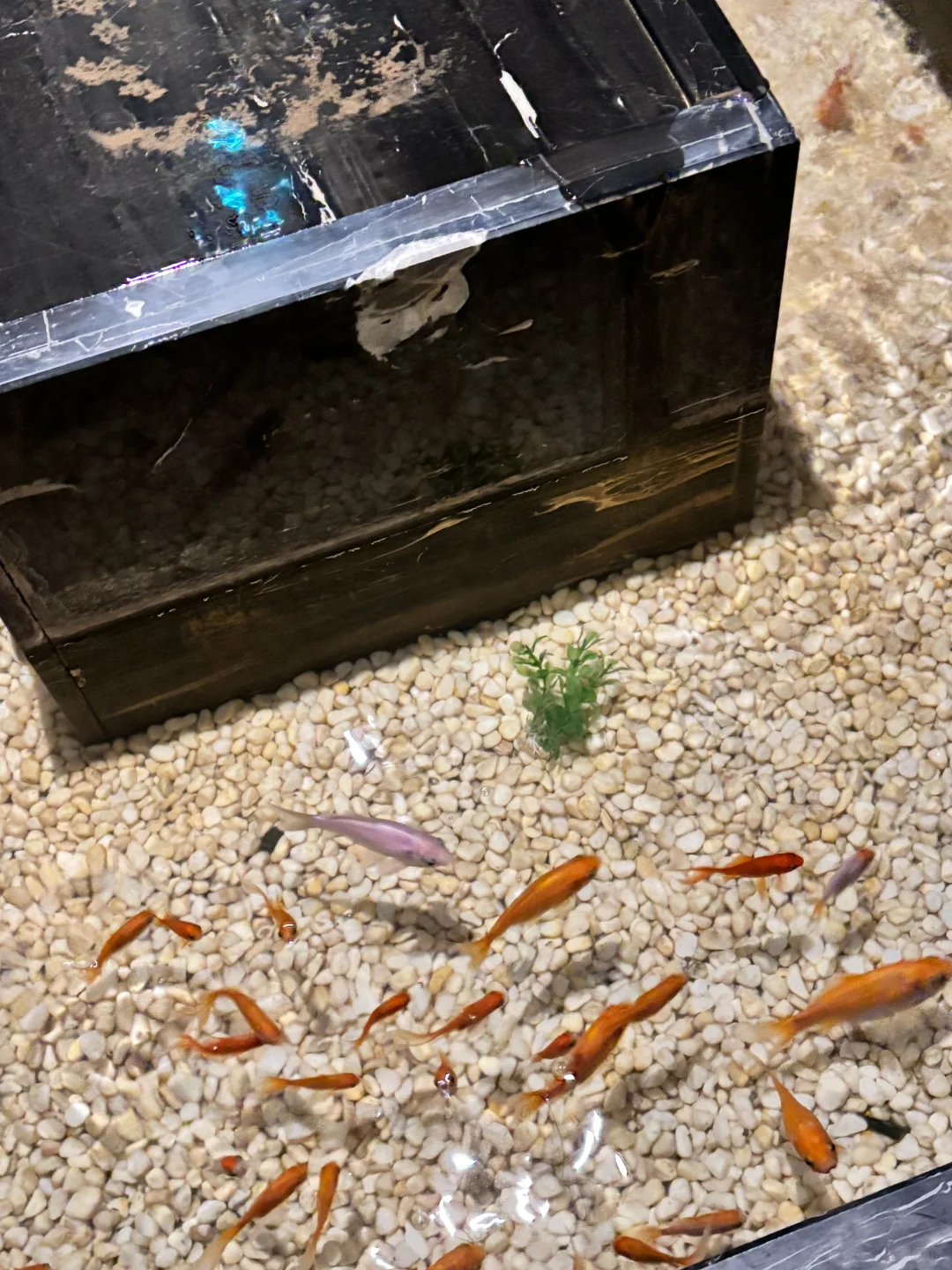 重庆沙坪坝区招聘