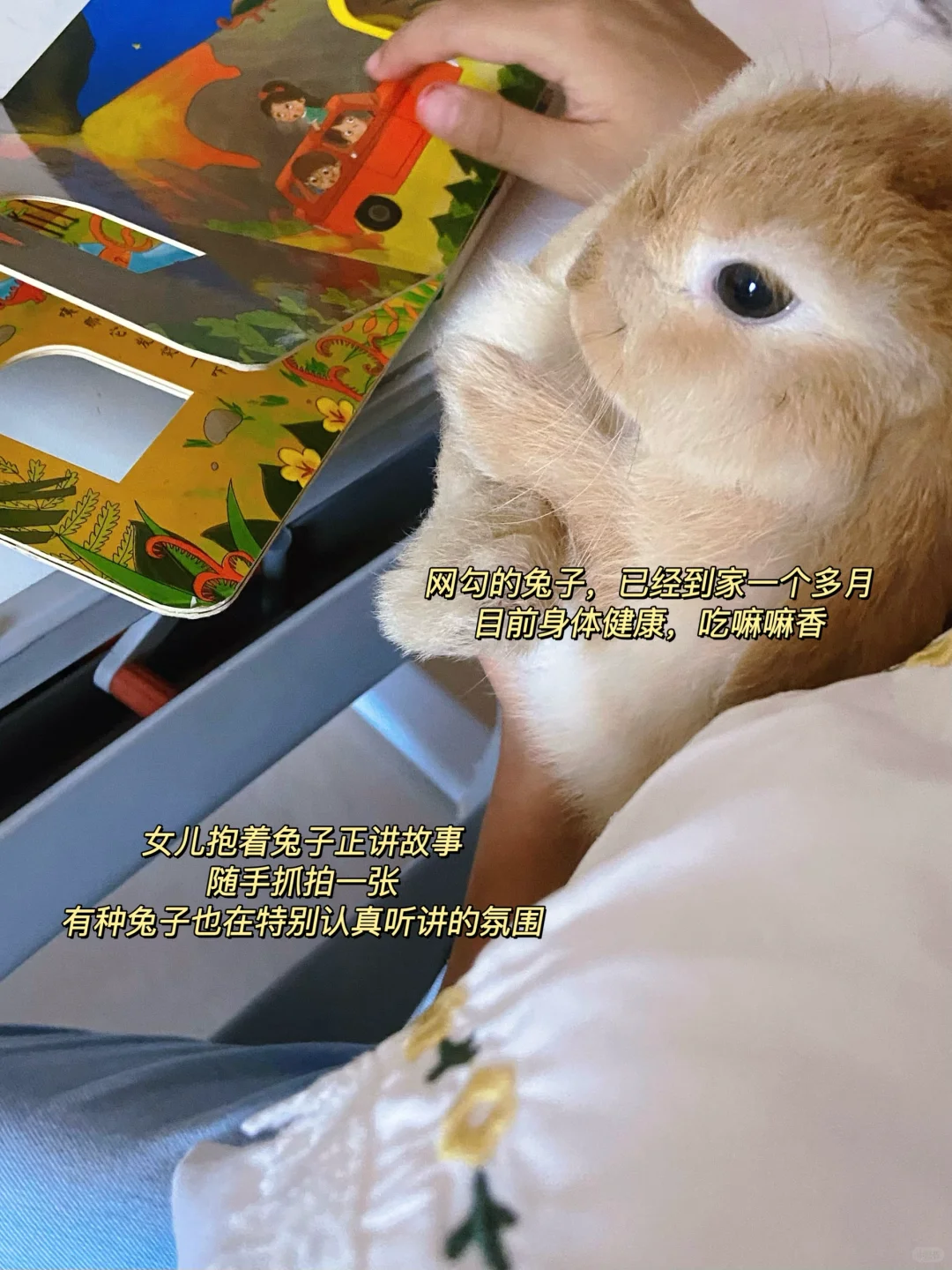 PLOG|月薪2400?低收入存钱日常