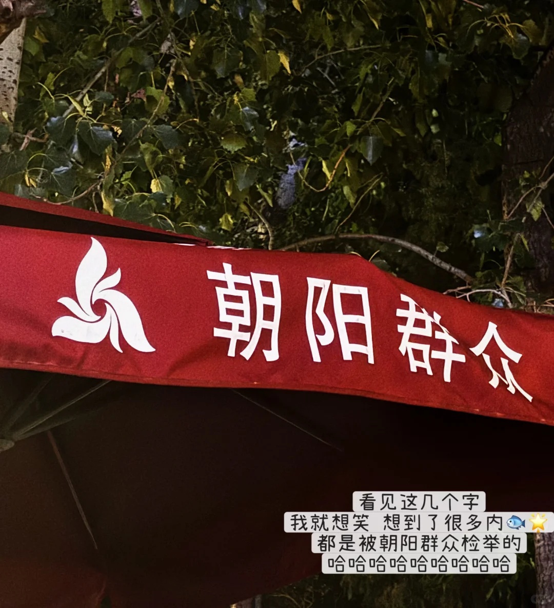 ?文科女硕｜㊙️我是如何斩获3个暑期实习offe