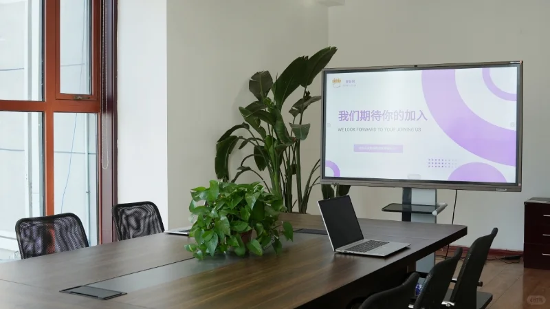石家庄真没人做带货主播了吗（4小时不坐班）