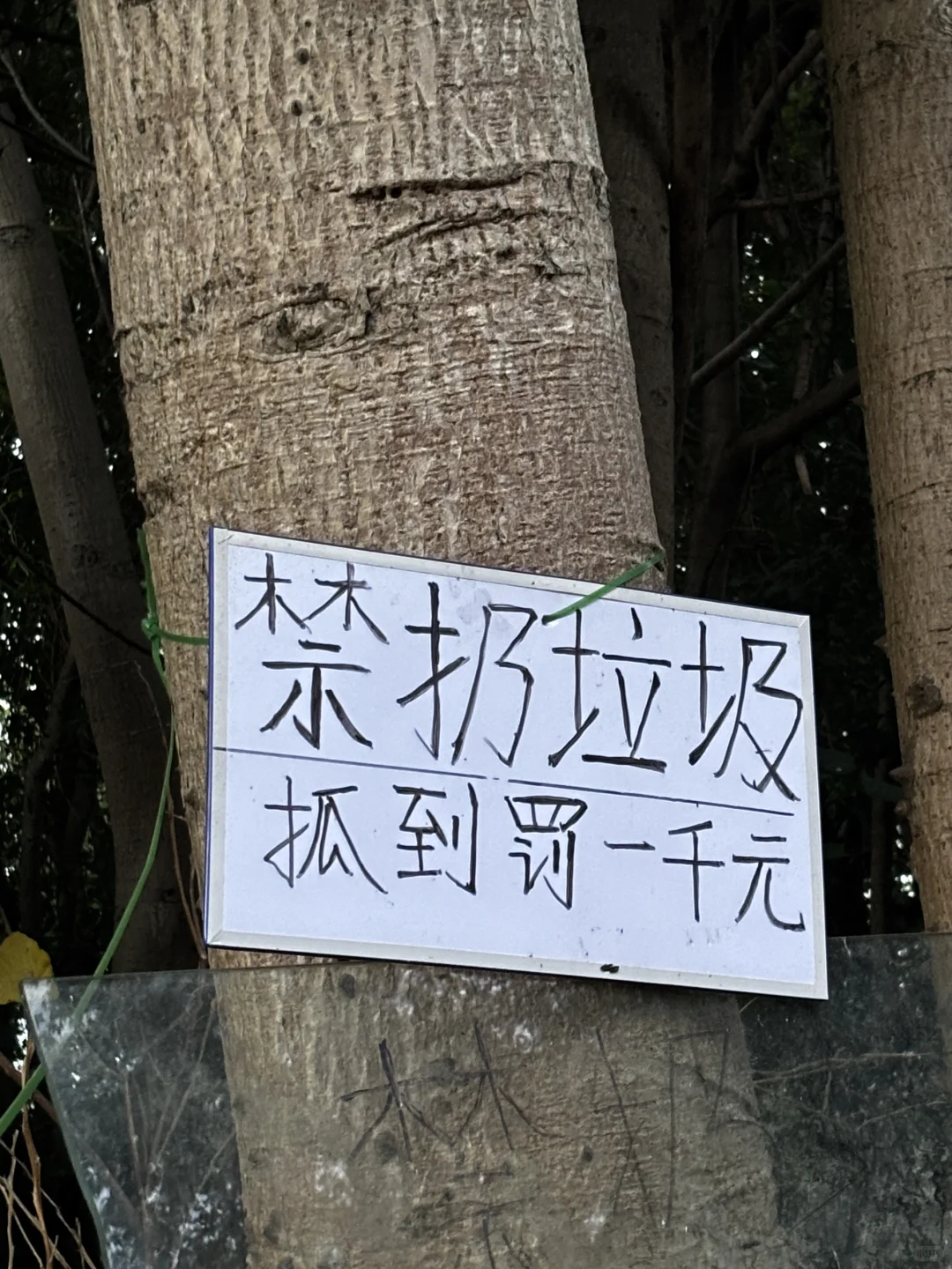 深圳电商主播??