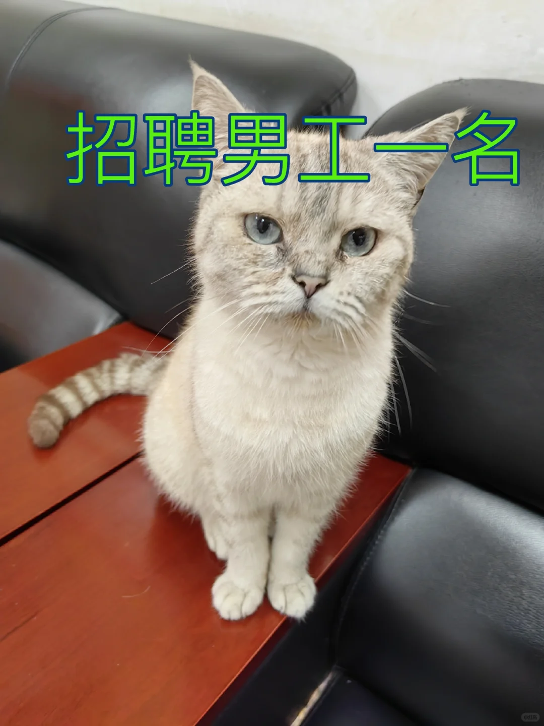 招聘男工一名