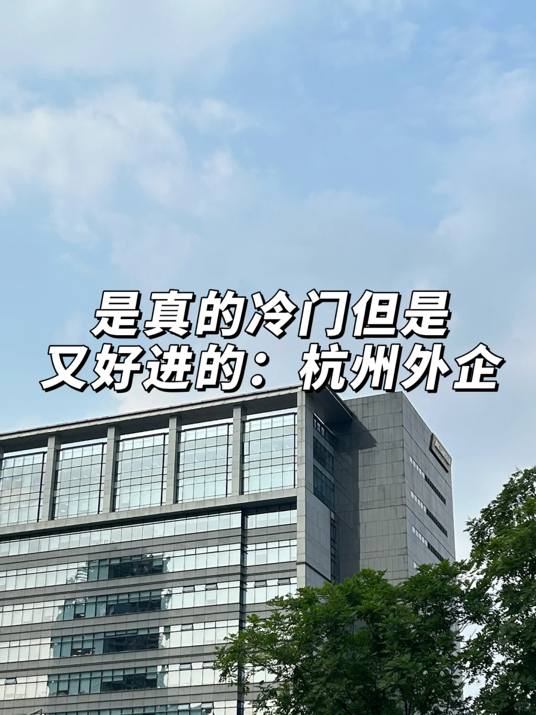 是真的冷门但是又好进的:杭州外企