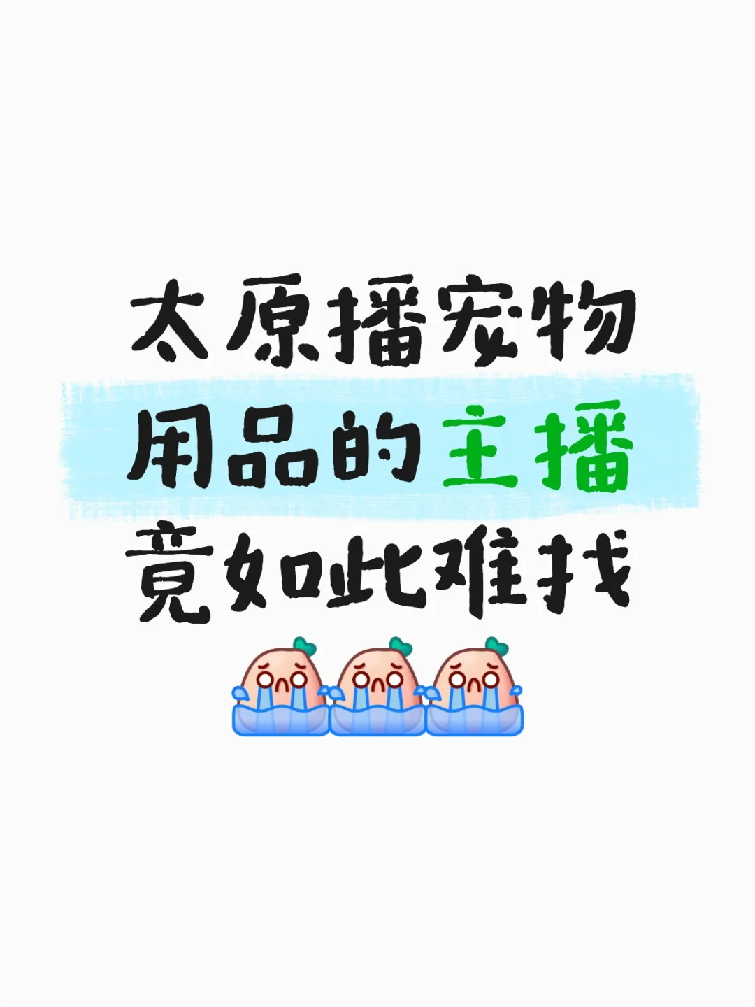 太原招聘宠物类目的带货主播
