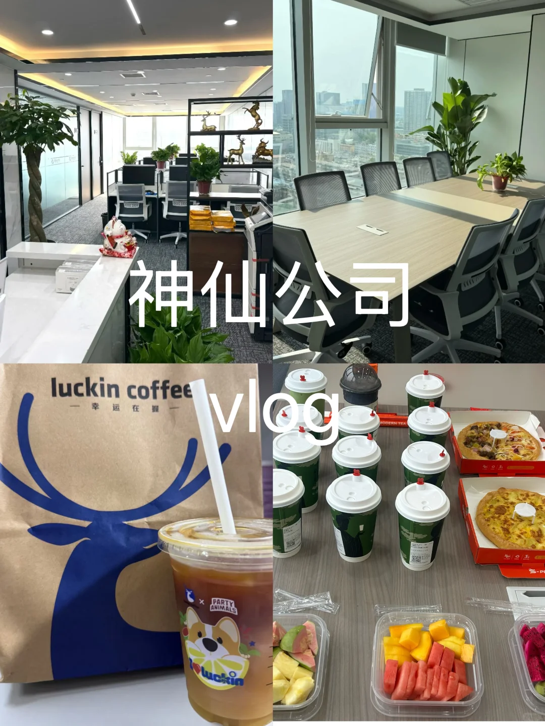 招人啦招人啦⚠️⚠️⚠️