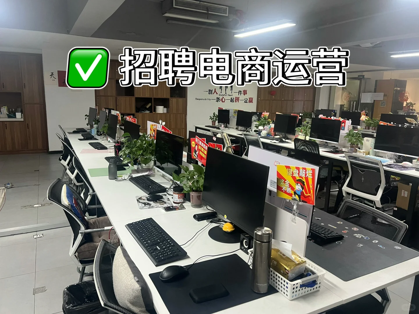 电商运营 电商运营助理