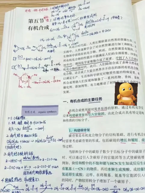 很笨,但考上了生物教师编(无报班)