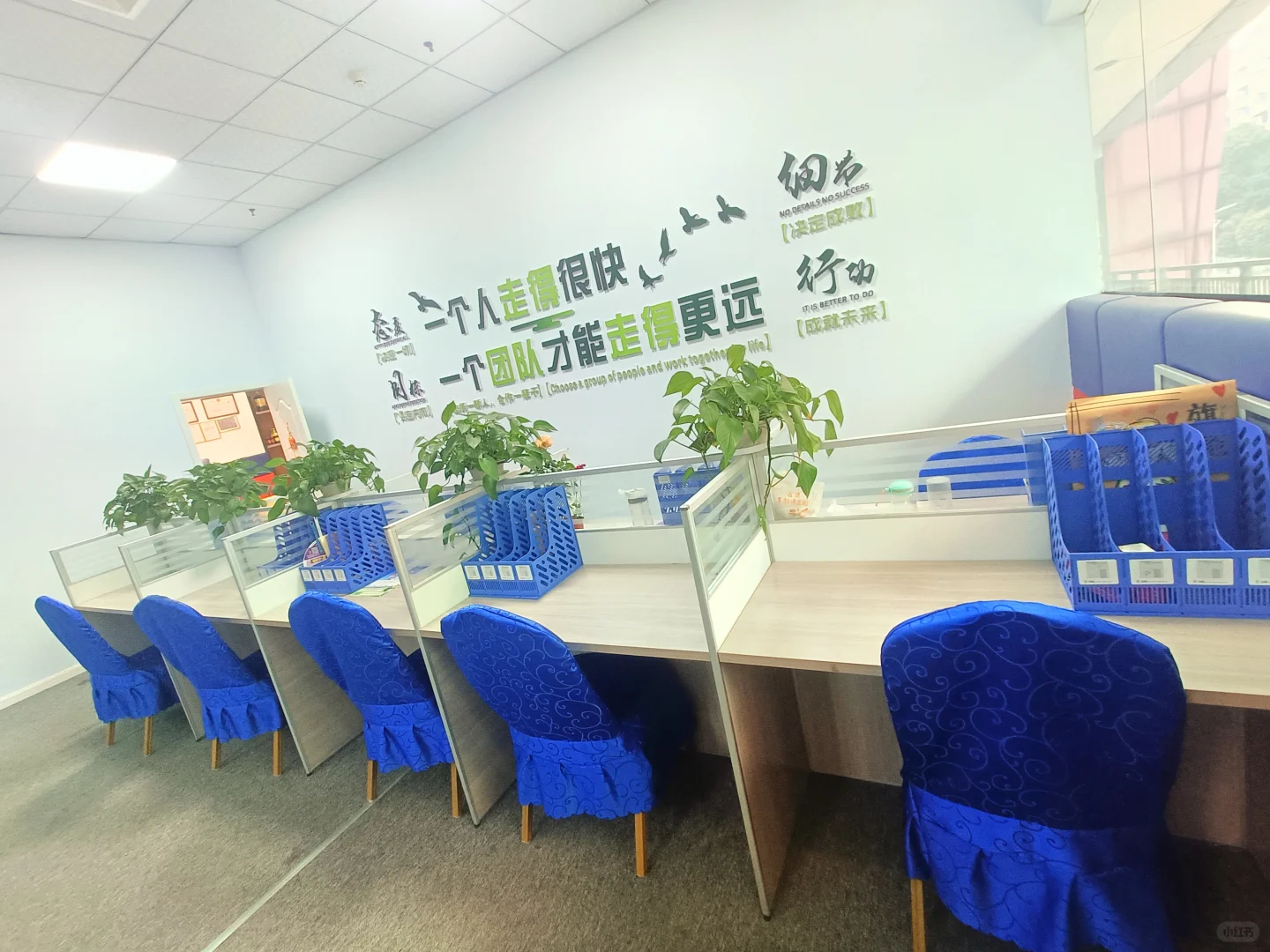 这家公司又在招人了,别错过