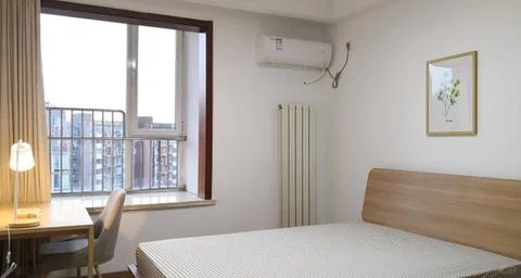 青岛市大学生有福了