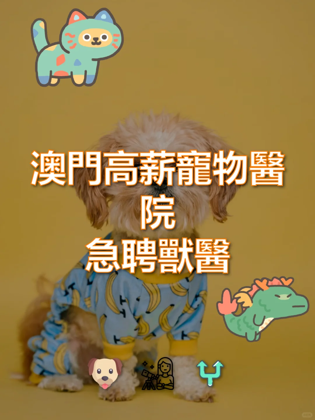 澳門高薪寵物醫院急聘獸醫