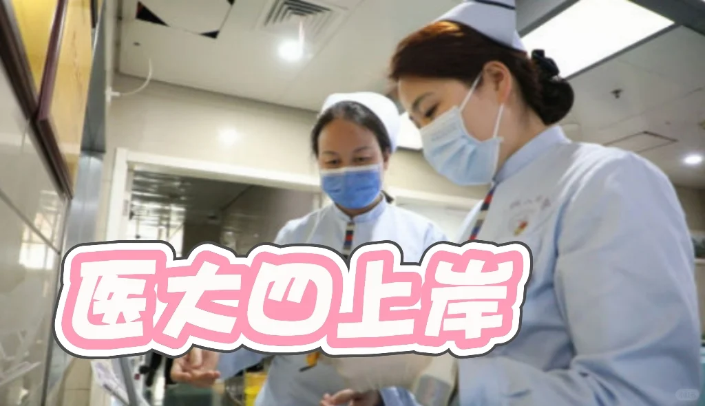 上岸医大四,我的备考攻略