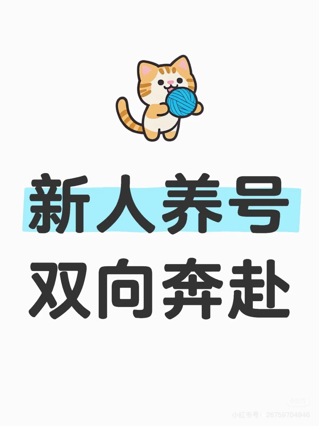 新人起号 互帮互助！