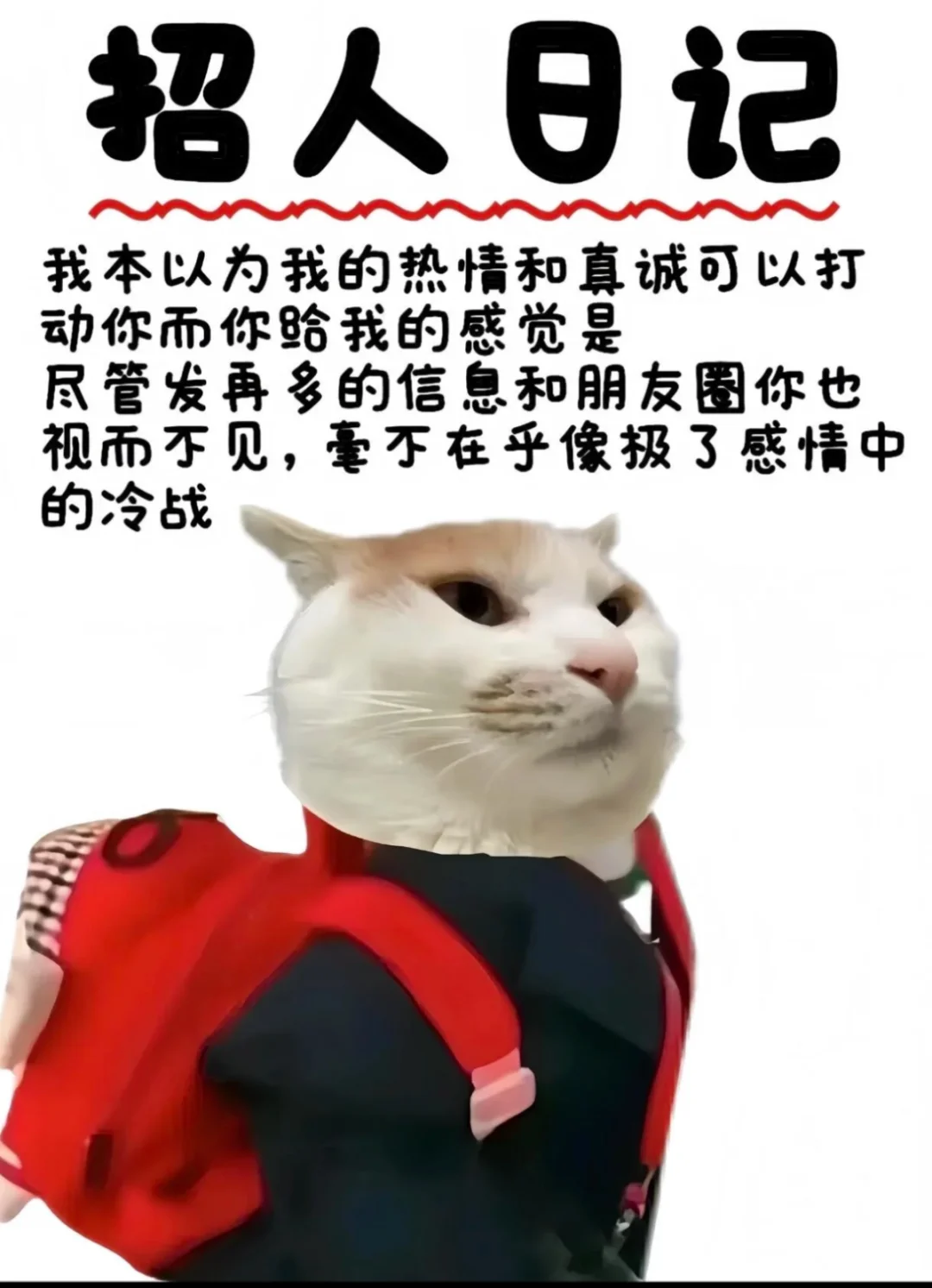 招人啦，新设分公司，有晋升有发展