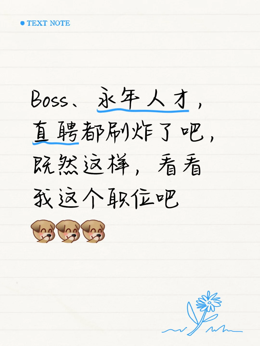 小姐姐小哥哥看看我们这个职位呀！