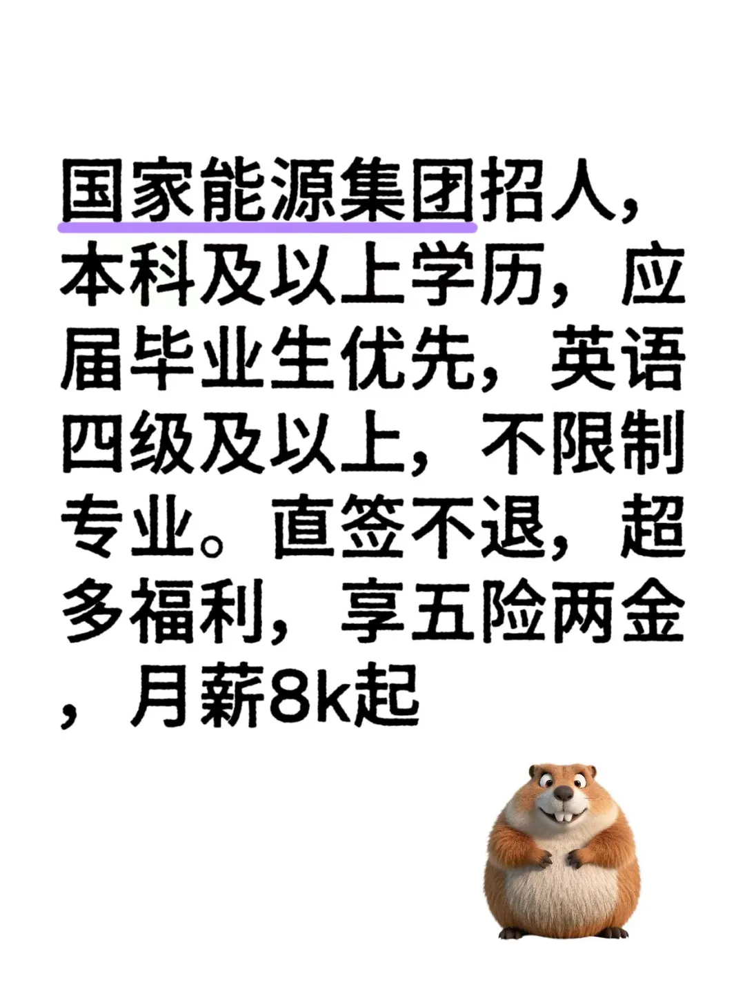 国家能源集团招人啦,要求本科应届毕业生