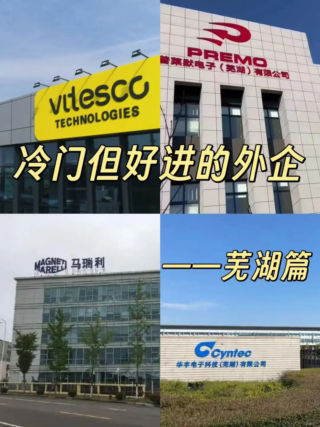 冷门但意外好进的外企—芜湖篇
