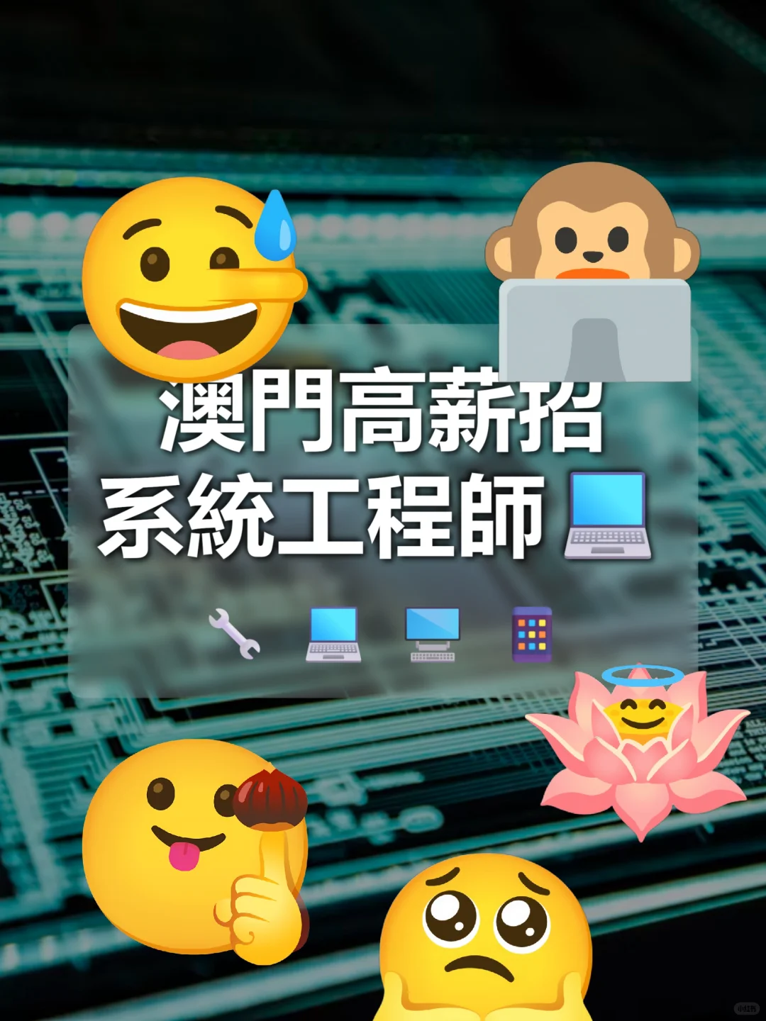 澳門高薪招系统工程師