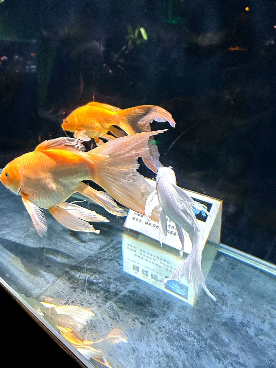 海洋馆大学生兼职一天160