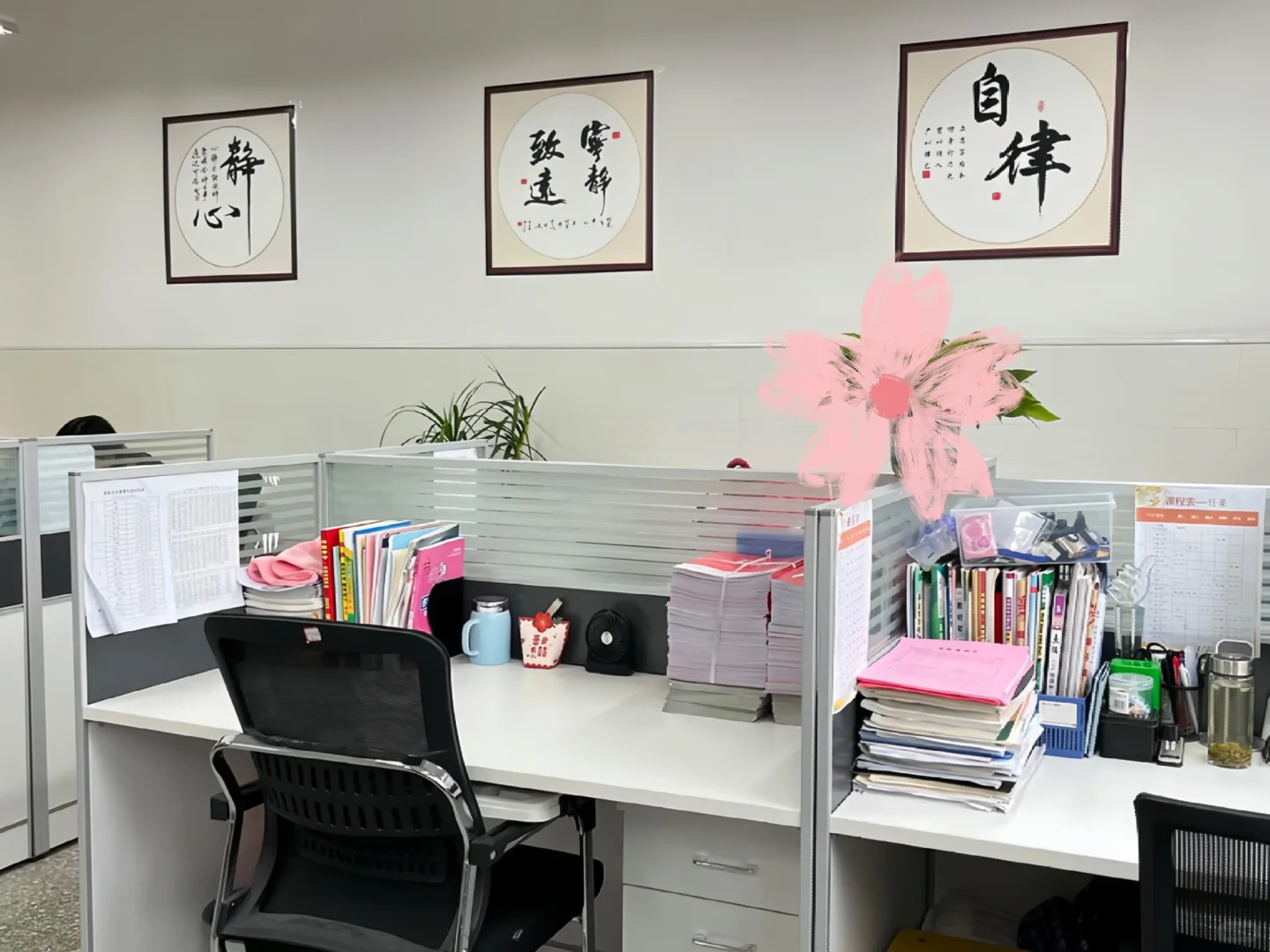 中小学后勤岗 双休 不需要教资