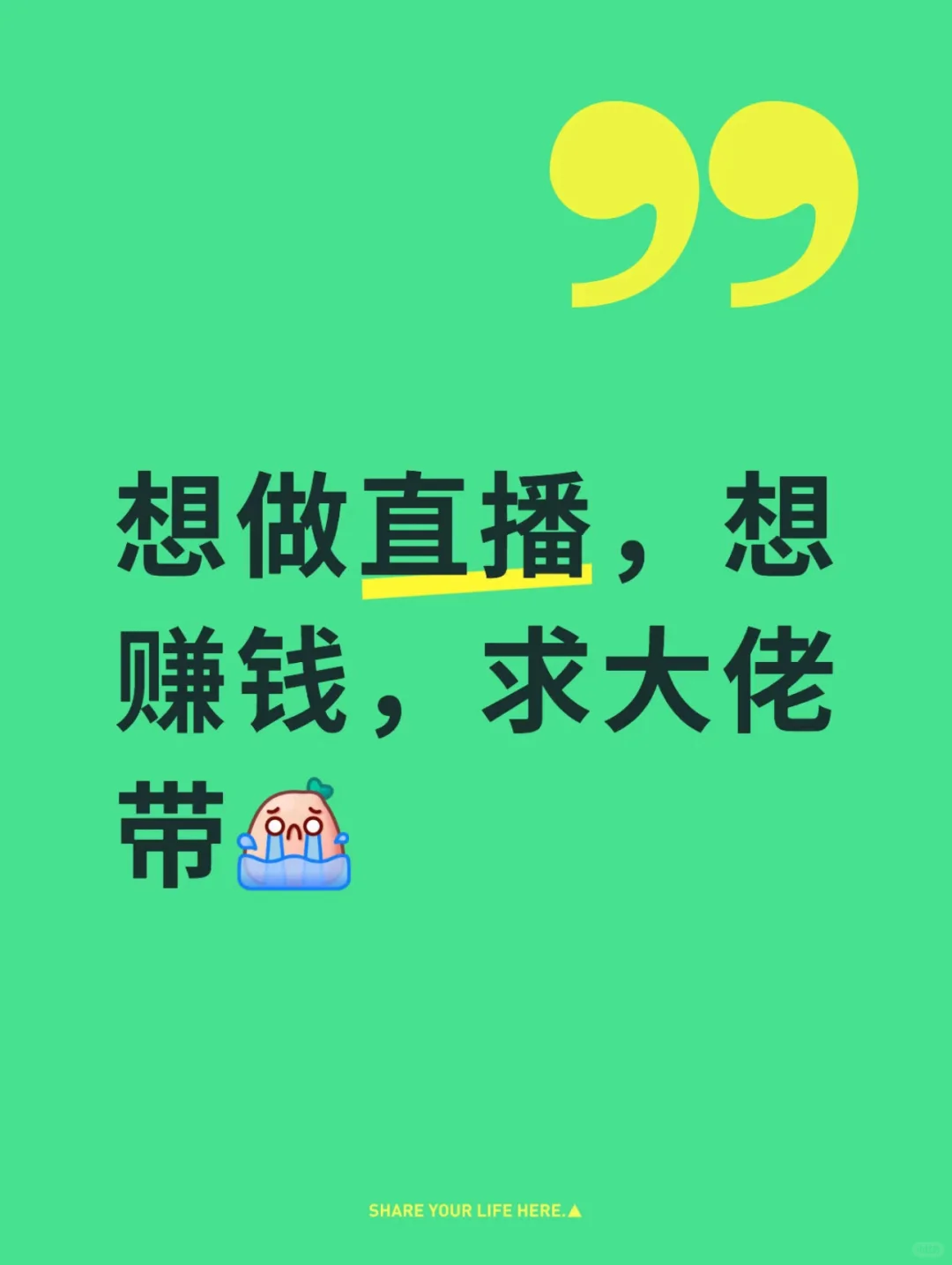 新人主播求人带