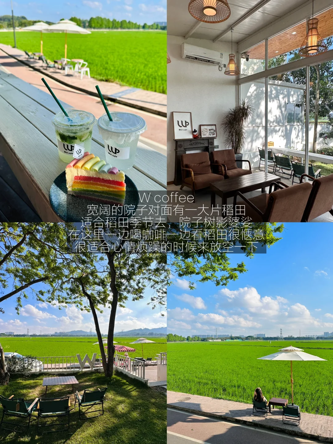 中山真心喜欢的13家店……（无广合集）