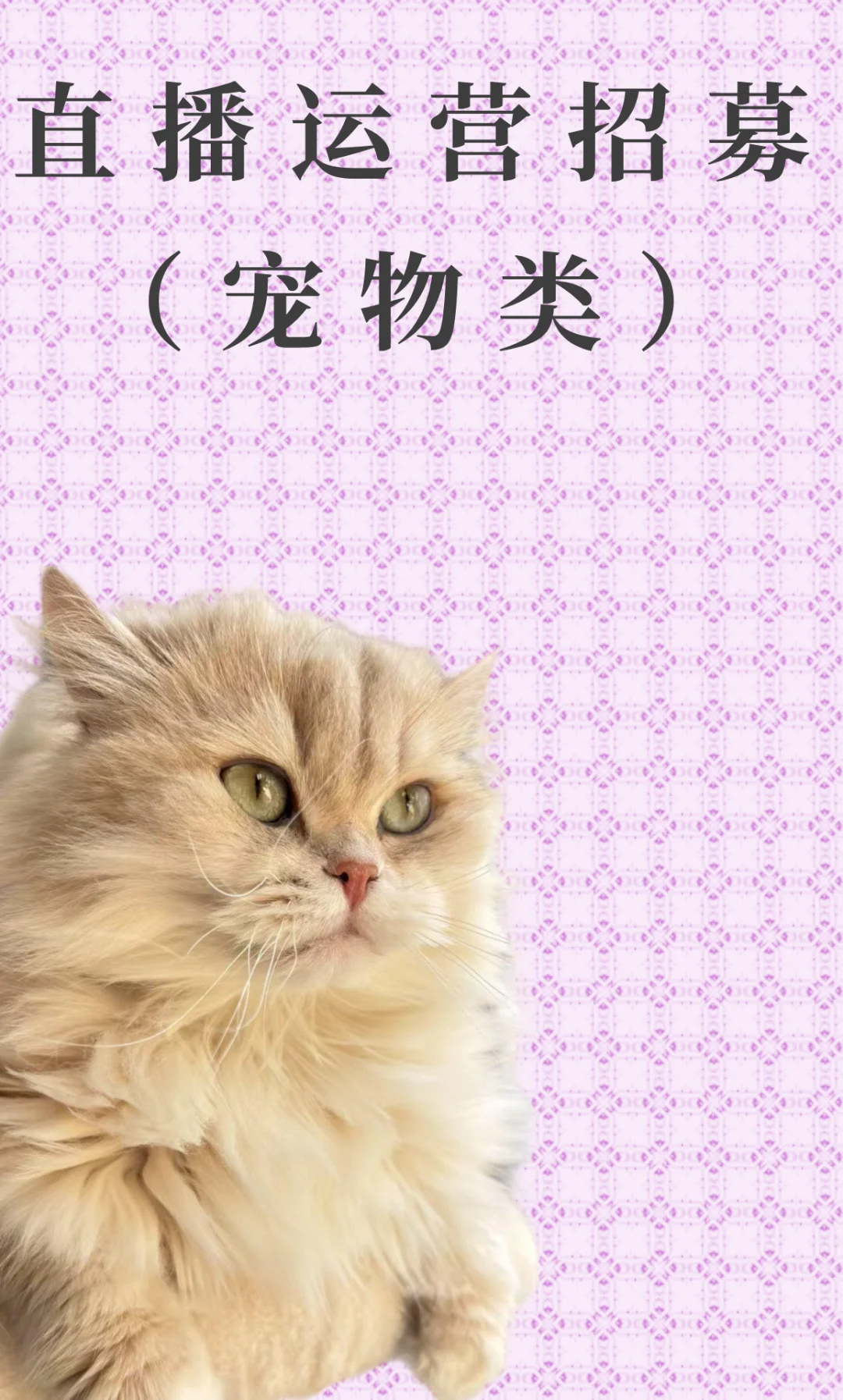 直播运营招聘(宠物类)