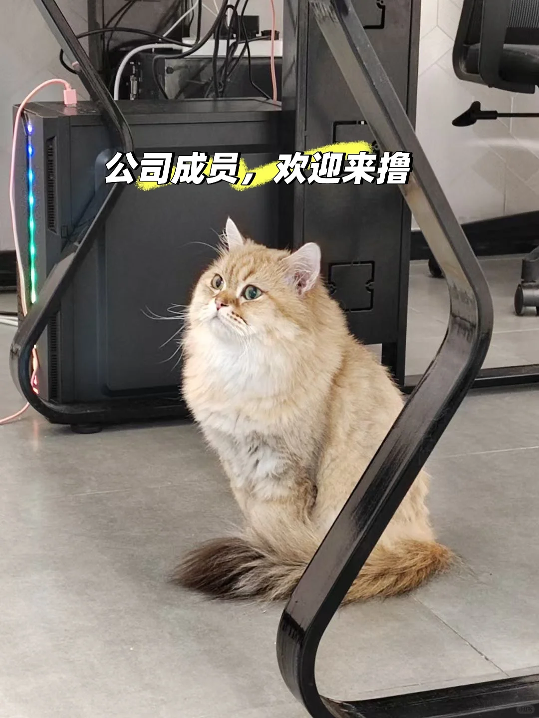 带货主播们看过来！???