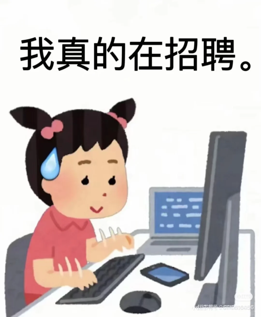 苏州找工作的看看