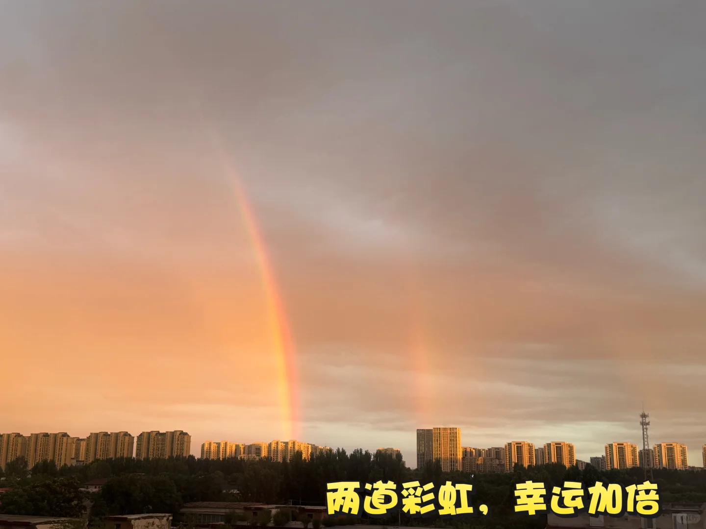 ?plog第5天｜研0勇闯媒体运营岗?