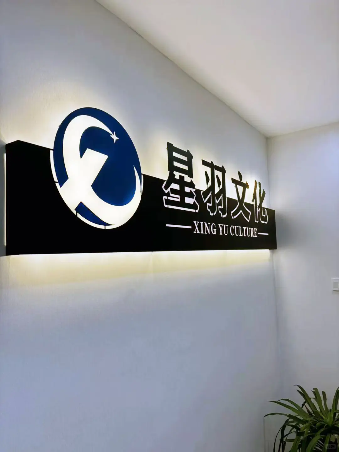 招主播，底薪高，提成高，支持在线播