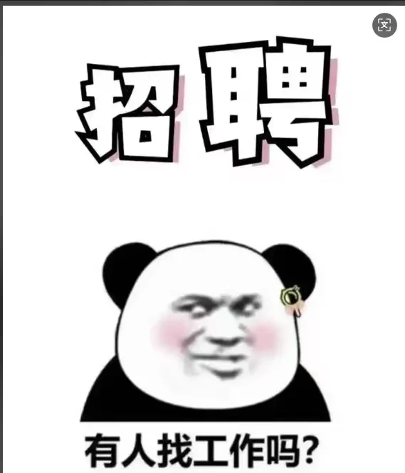 我招人我招人我招人!!!