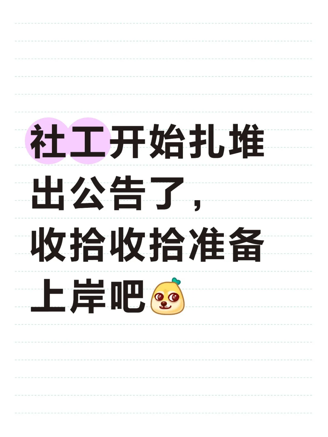 社工开始招了