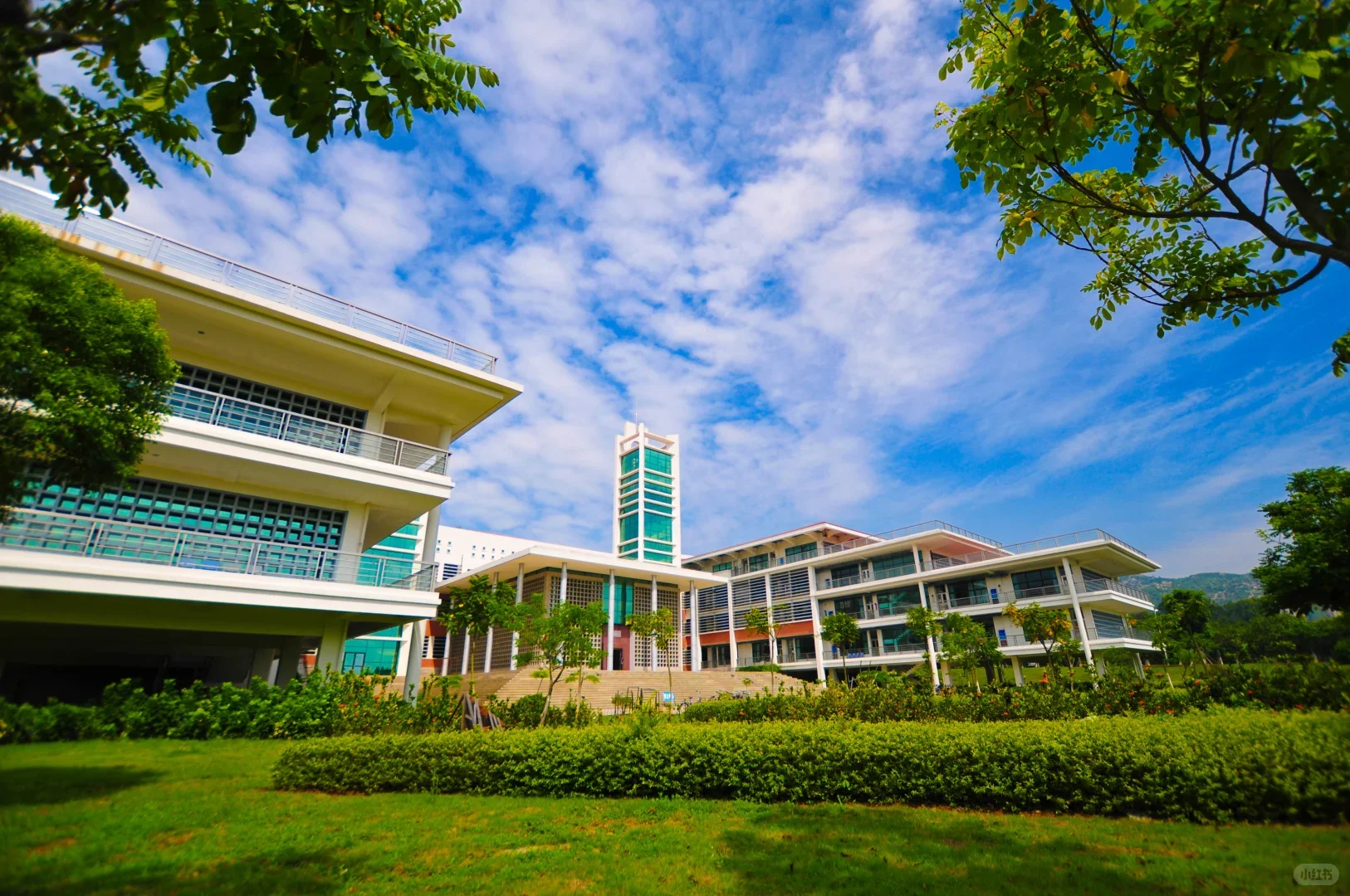 厦门大学嘉庚学院,招聘教务员,月薪8k+!