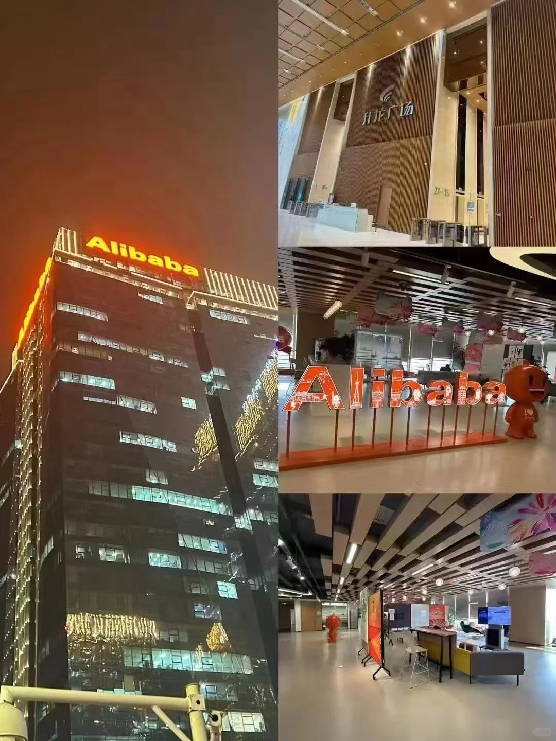 阿里巴巴(河南区域总部)招聘;入职五险一金